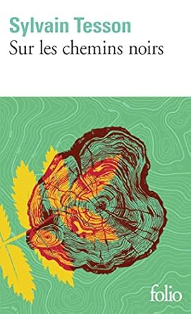 sylvain tesson sur les chemins noirs